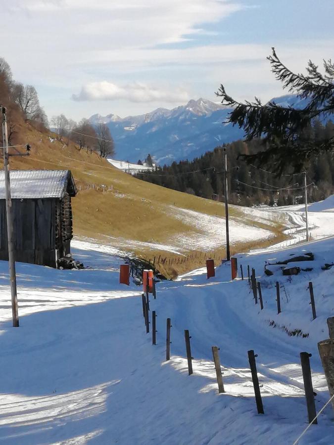 Haus Jessica Incl National Park Sommercard Mittersill Eksteriør bilde