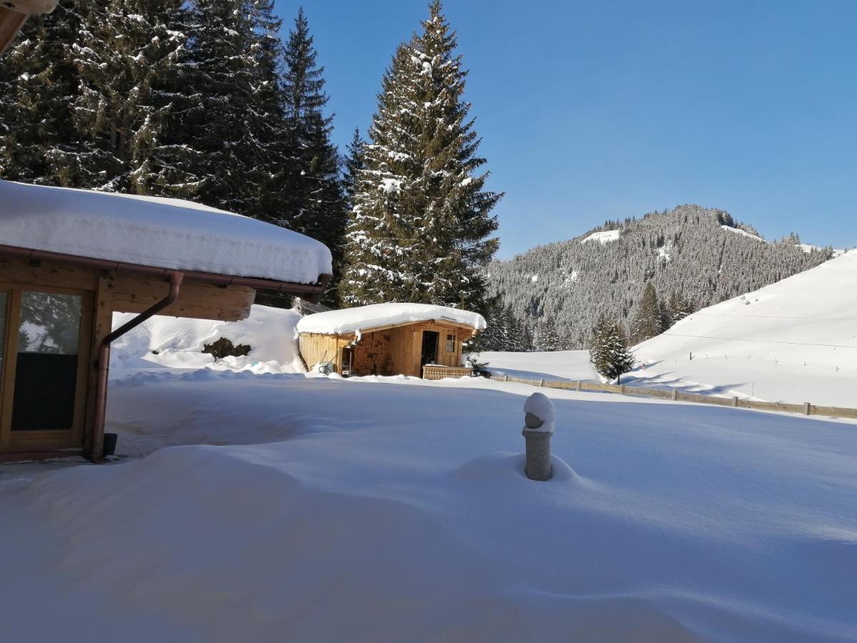 Haus Jessica Incl National Park Sommercard Mittersill Eksteriør bilde