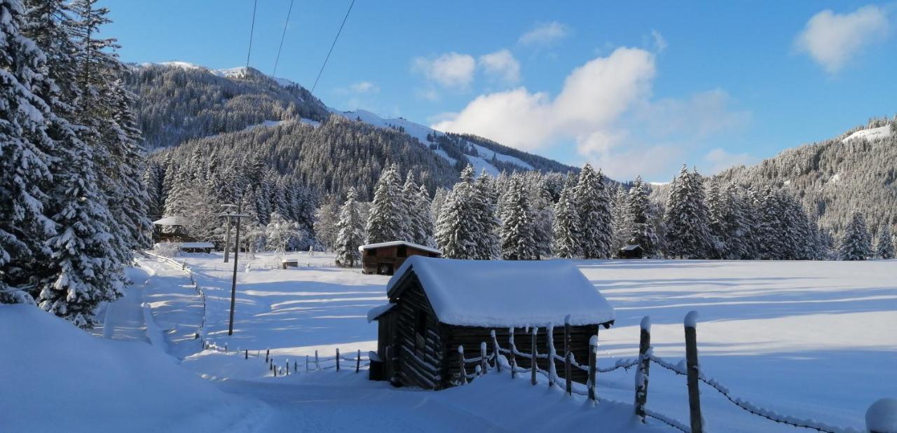 Haus Jessica Incl National Park Sommercard Mittersill Eksteriør bilde